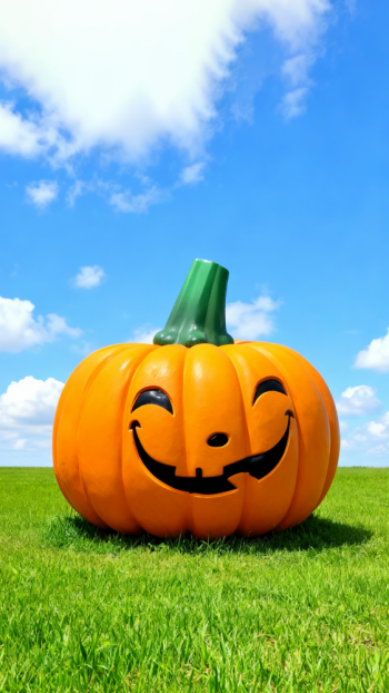 玻璃鋼南瓜雕塑 (1)