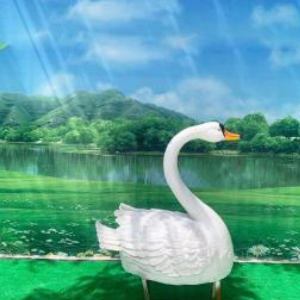 玻璃鋼仿真天鵝
